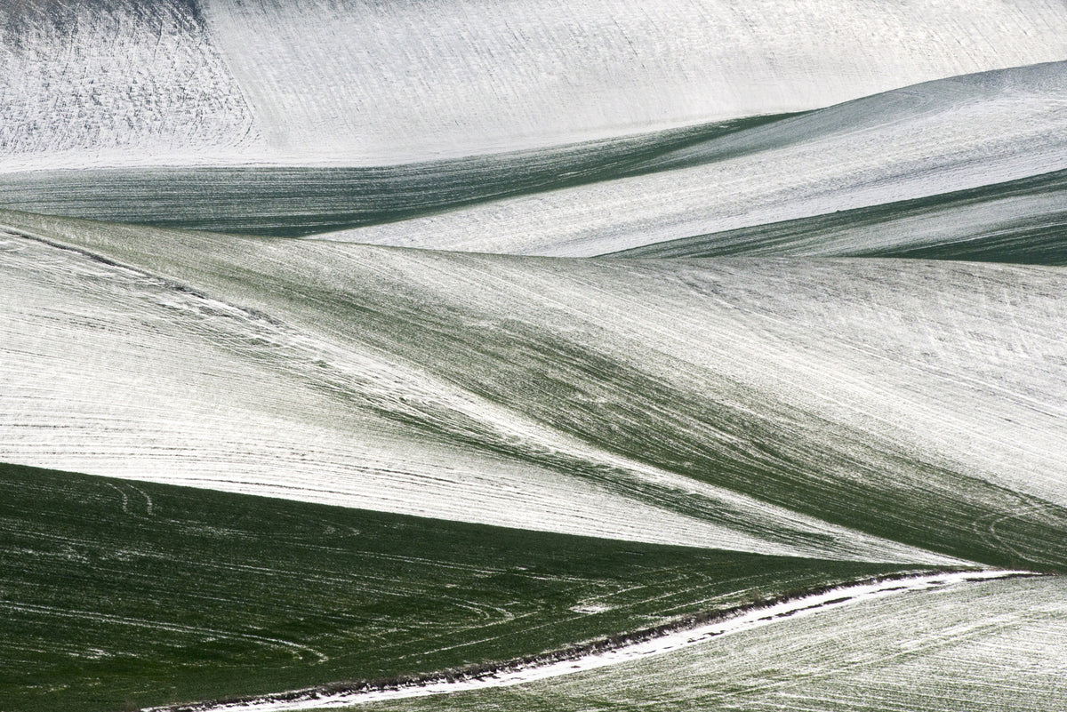 Winter** Poster och Canvastavla