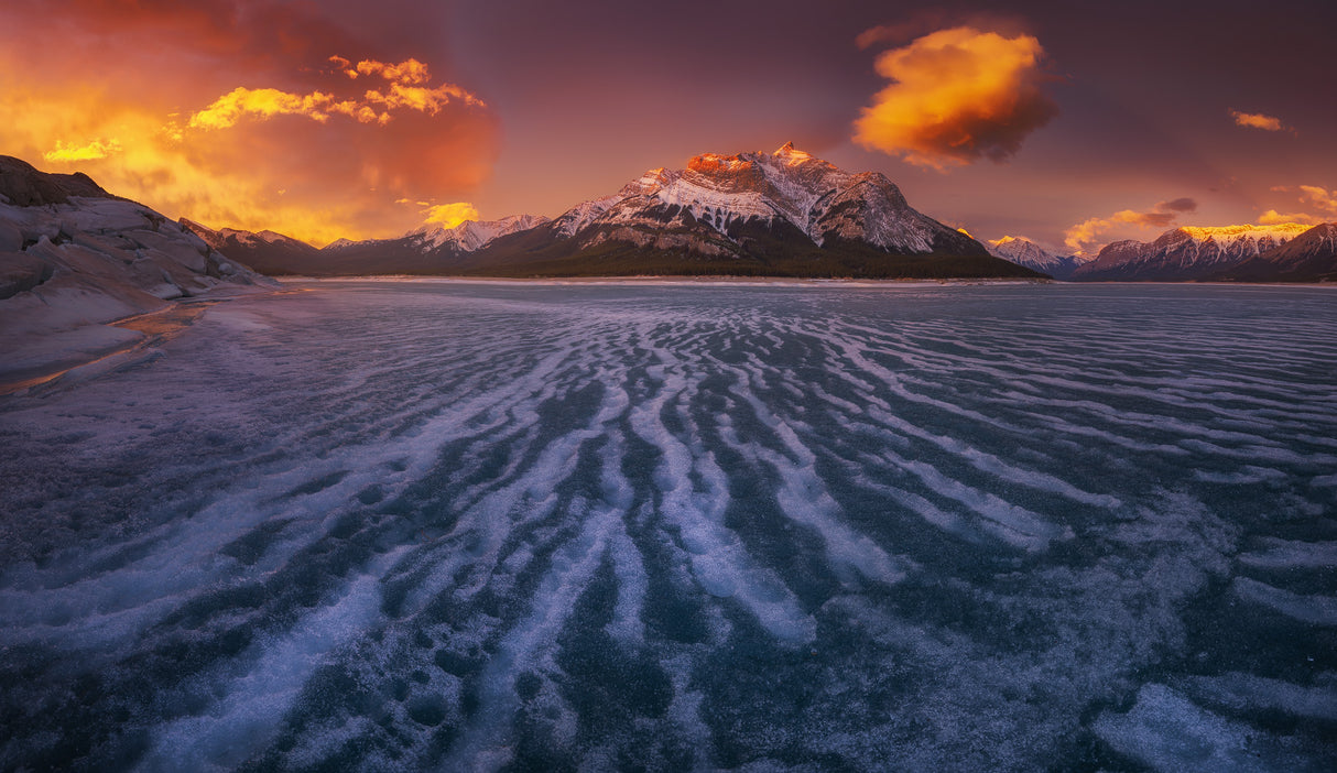 Abraham Lake Poster och Canvastavla
