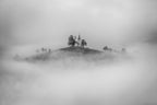 On the top of the hill Poster och Canvastavla
