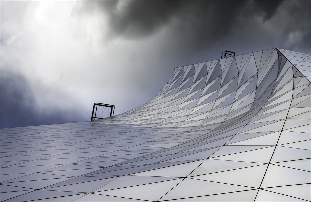 Musée des Confluences Poster och Canvastavla