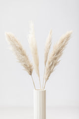Pampas Grass Grey 09 Poster och Canvastavla