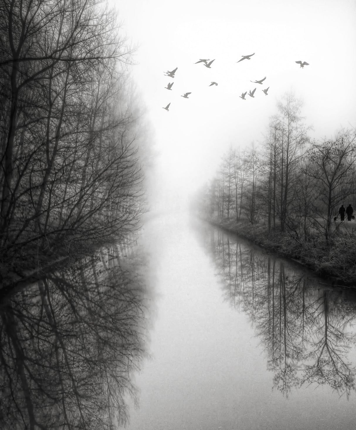 Beyond the fog lies clarity Poster och Canvastavla