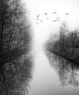 Beyond the fog lies clarity Poster och Canvastavla