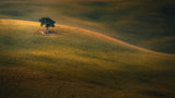 At the Edge of Time Poster och Canvastavla