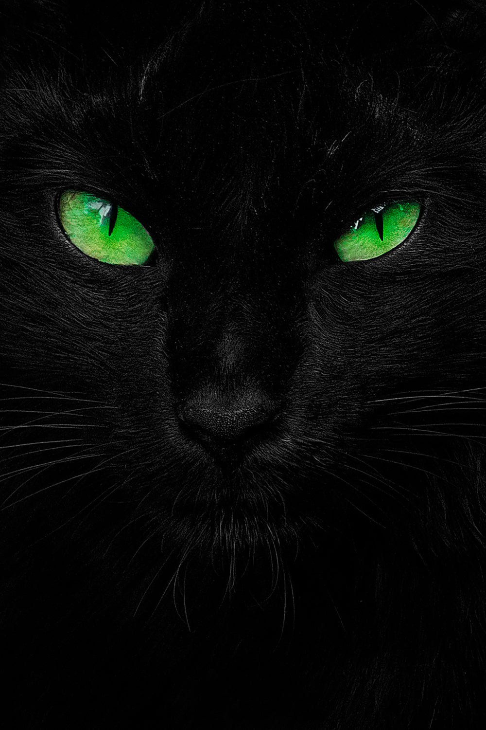 The Viridescent Stare Poster och Canvastavla