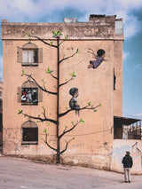 Palestinian quarter - Amman Poster och Canvastavla