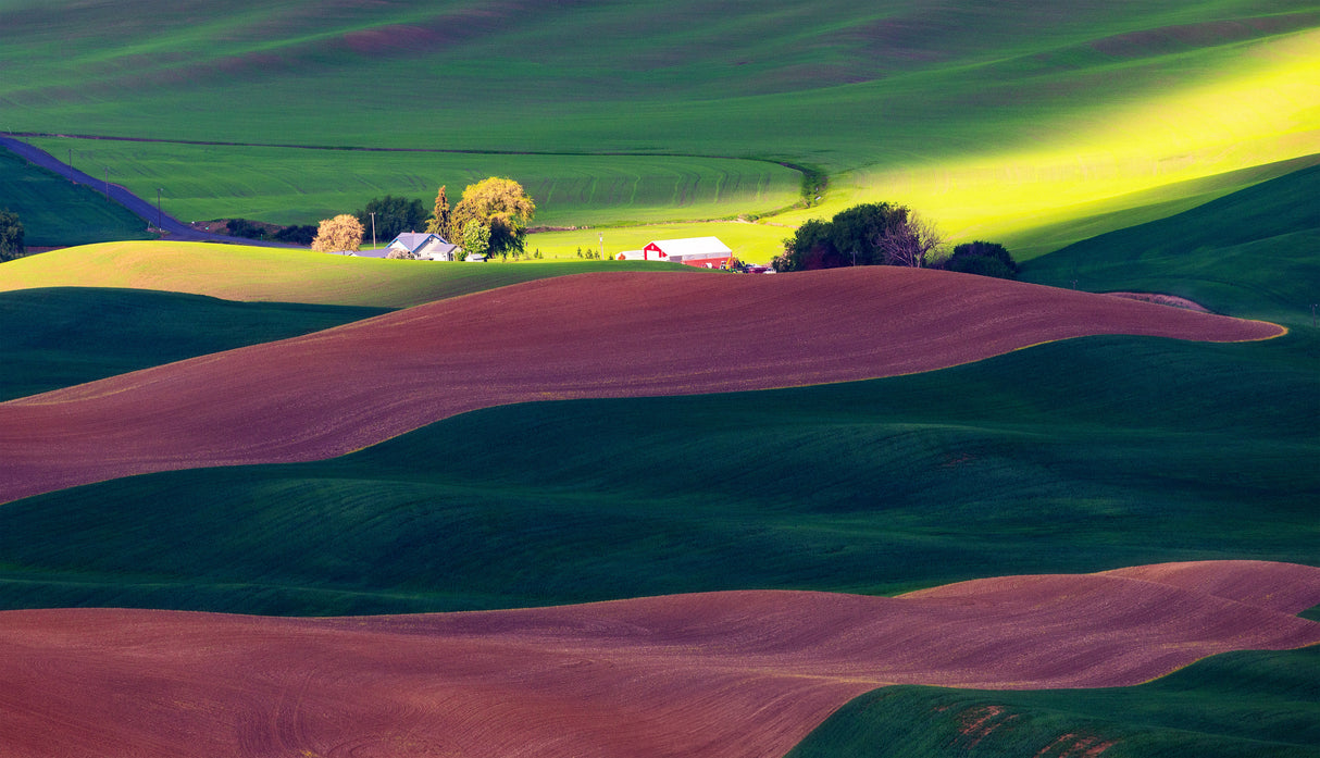 A Palouse Farm Poster och Canvastavla