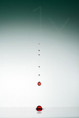 Evolution of waterdrops - 1 Poster och Canvastavla