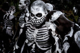 Skeleton men at the Mt Hagen sing-sing festival - Papua New Guinea Poster och Canvastavla