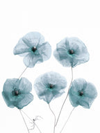 Blue Delicate Flowers Poster och Canvastavla
