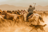 Wild horses (aka Yılkı Atları) Poster och Canvastavla