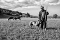Cows keepers Poster och Canvastavla