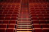 Auditorium Poster och Canvastavla