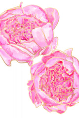 Sally's peonies Poster och Canvastavla