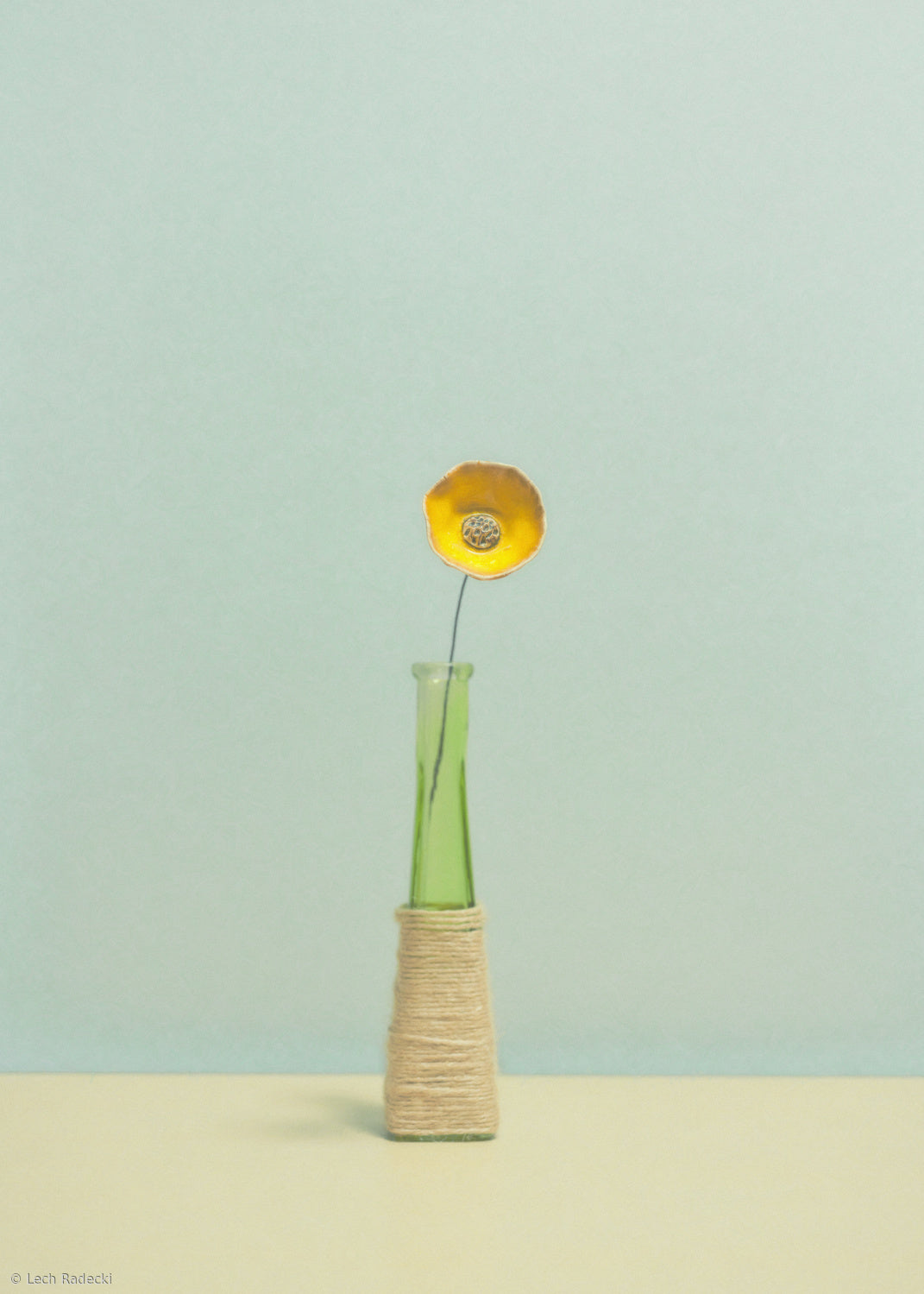flower Poster och Canvastavla