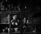 The Teddy Bear Poster och Canvastavla