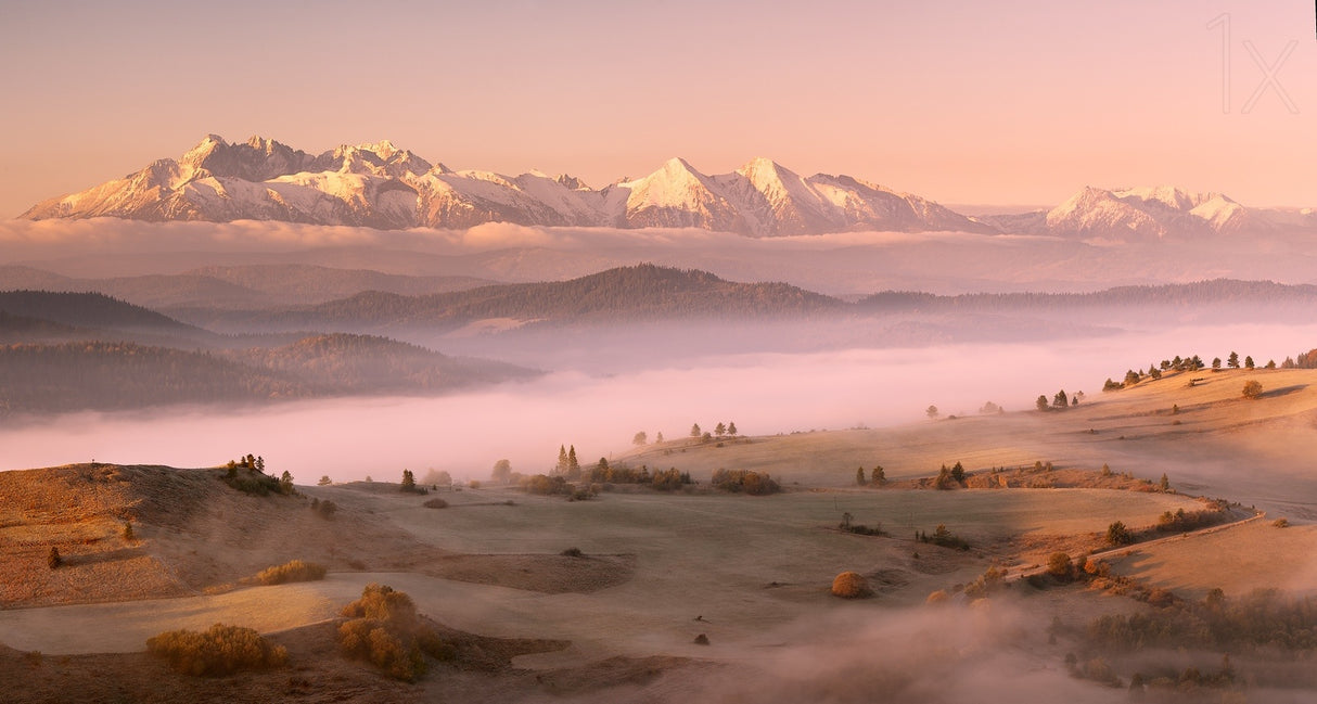 Fog Tatra Poster och Canvastavla