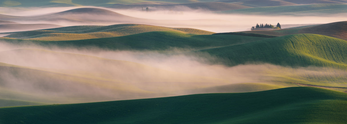 Dream Land in Morning Mist-2 Poster och Canvastavla