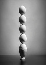 Well balanced diet (version 2) Poster och Canvastavla