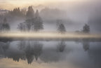 Mystic Morning III Poster och Canvastavla