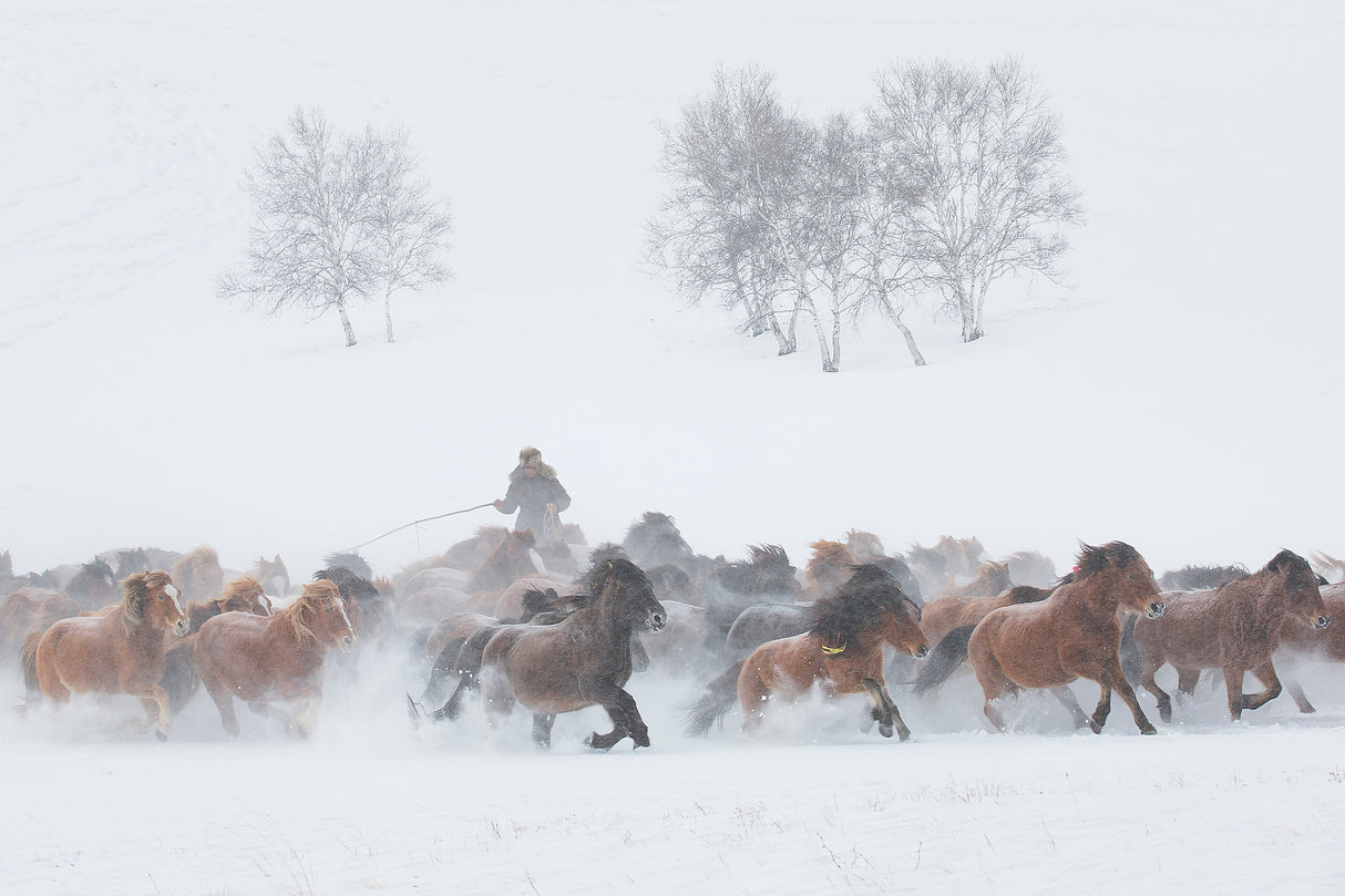 Winter Pasture Poster och Canvastavla