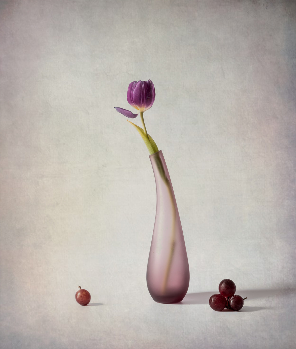 Tulip and Grapes Poster och Canvastavla