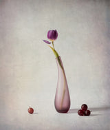 Tulip and Grapes Poster och Canvastavla