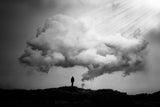The cloud Poster och Canvastavla