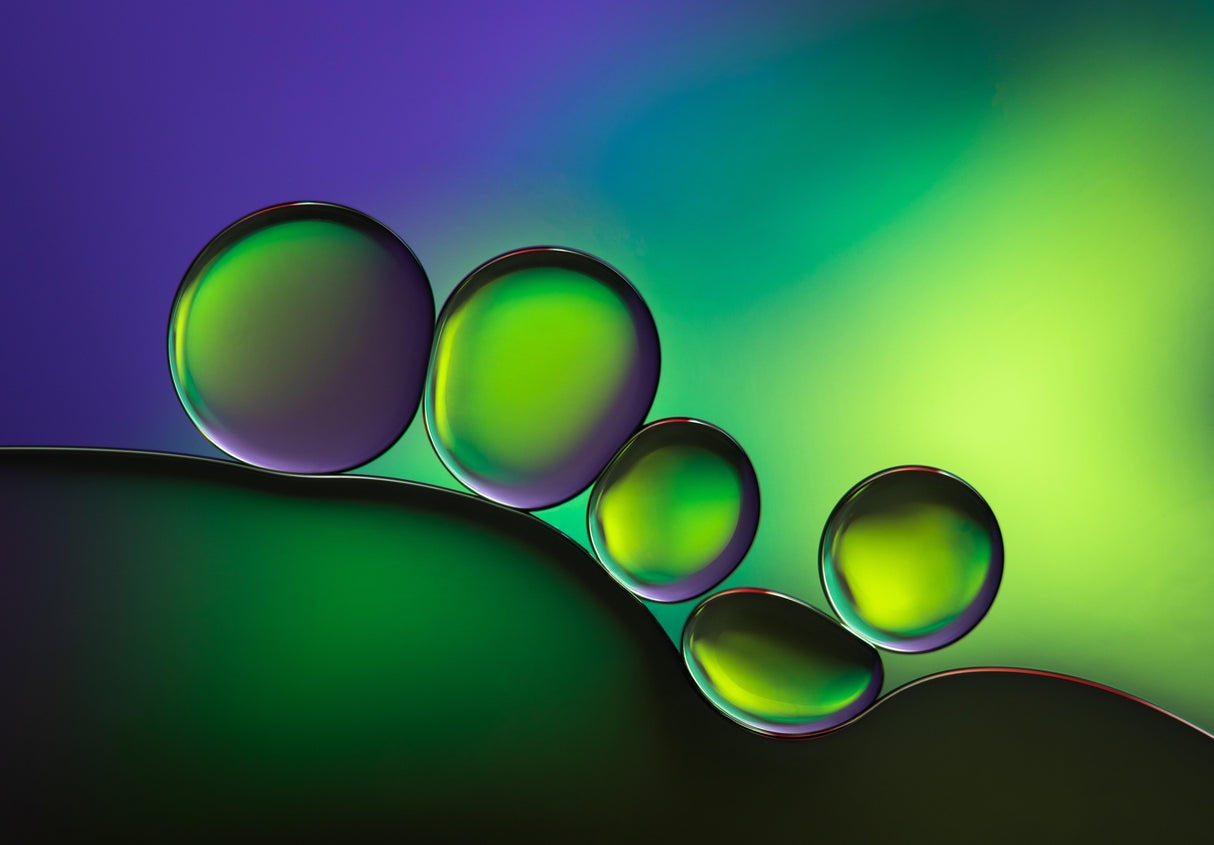Bubbles in Green and Purple Poster och Canvastavla