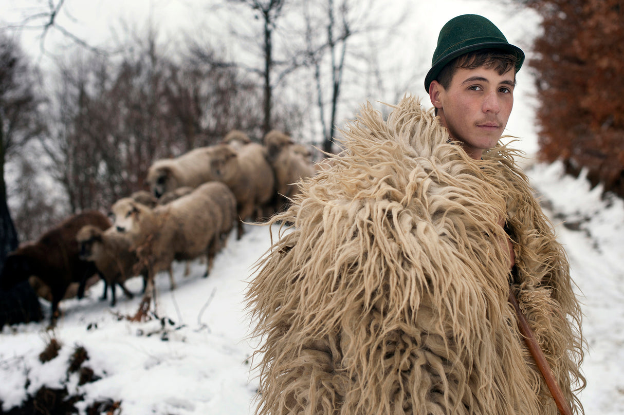 the young shepherd Poster och Canvastavla