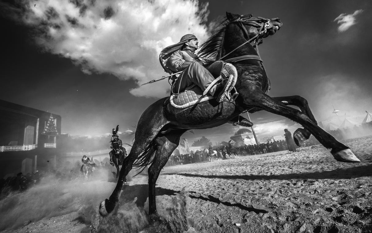 fighter and horse Poster och Canvastavla