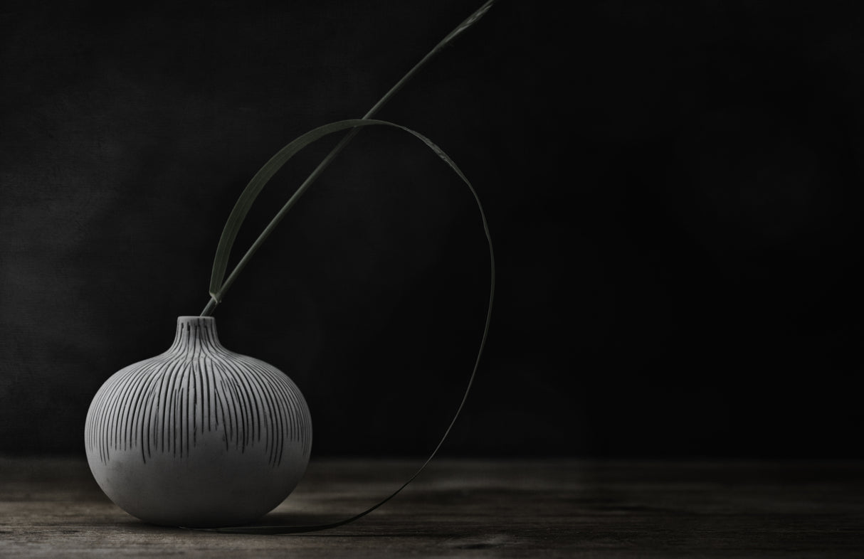Grass and vase Poster och Canvastavla