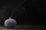 Grass and vase Poster och Canvastavla