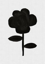 Botanical VI Poster och Canvastavla