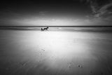 Omaha Beach Today Poster och Canvastavla