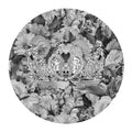 Morning Dream Blooms &amp; Crown Black &amp; White Poster och Canvastavla