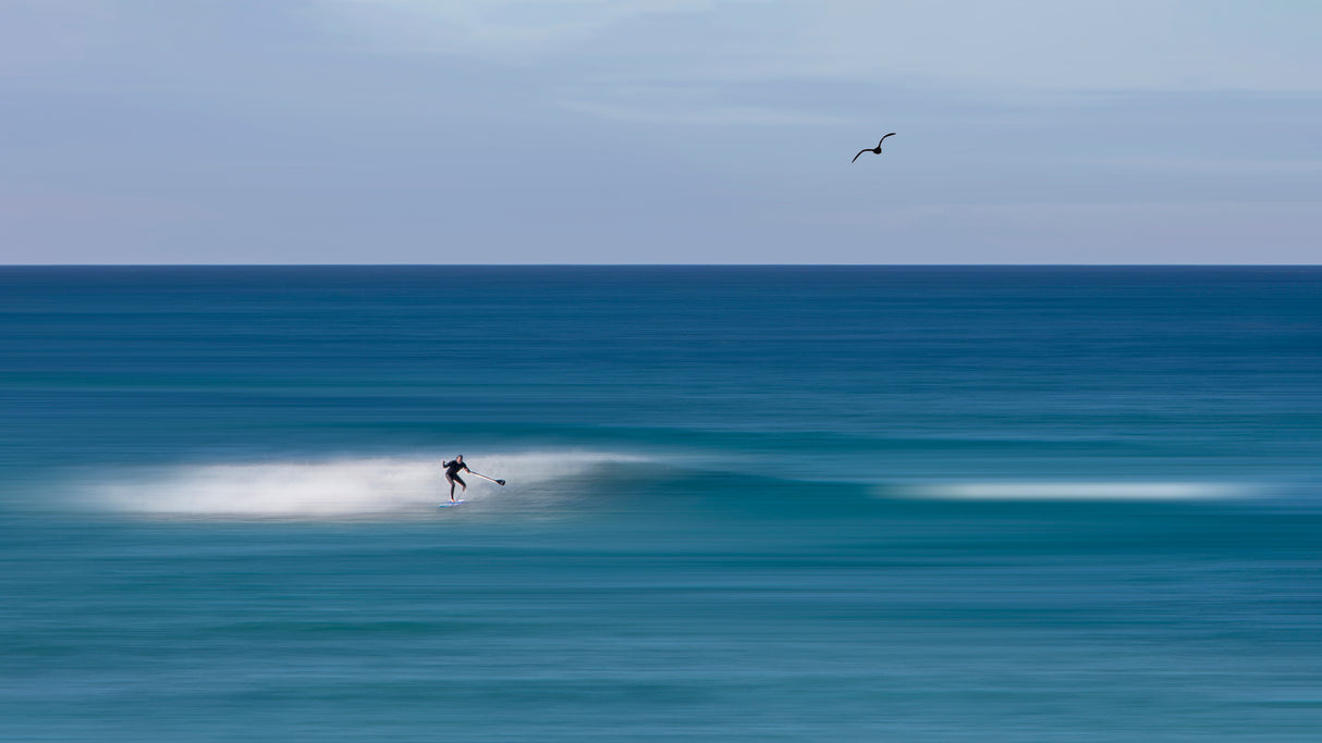 Surfing Poster och Canvastavla