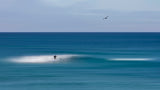 Surfing Poster och Canvastavla
