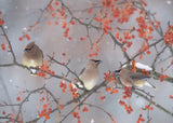 Snow, Bird and Tree Poster och Canvastavla