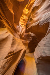 &quot;the golden passage way&quot; Poster och Canvastavla