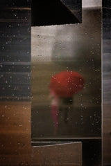 Rainy Reflection Poster och Canvastavla