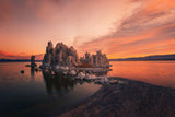 Mono Lake Morning Light Poster och Canvastavla