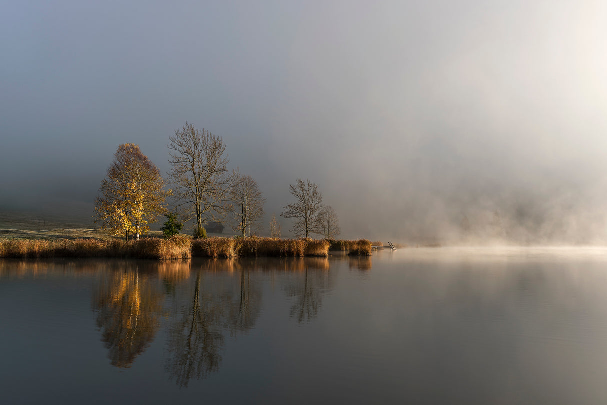 Foggy Morning Poster och Canvastavla