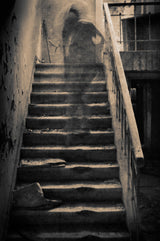 Ghost in an orphanage Poster och Canvastavla