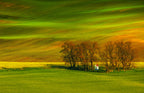 A colorful day Poster och Canvastavla