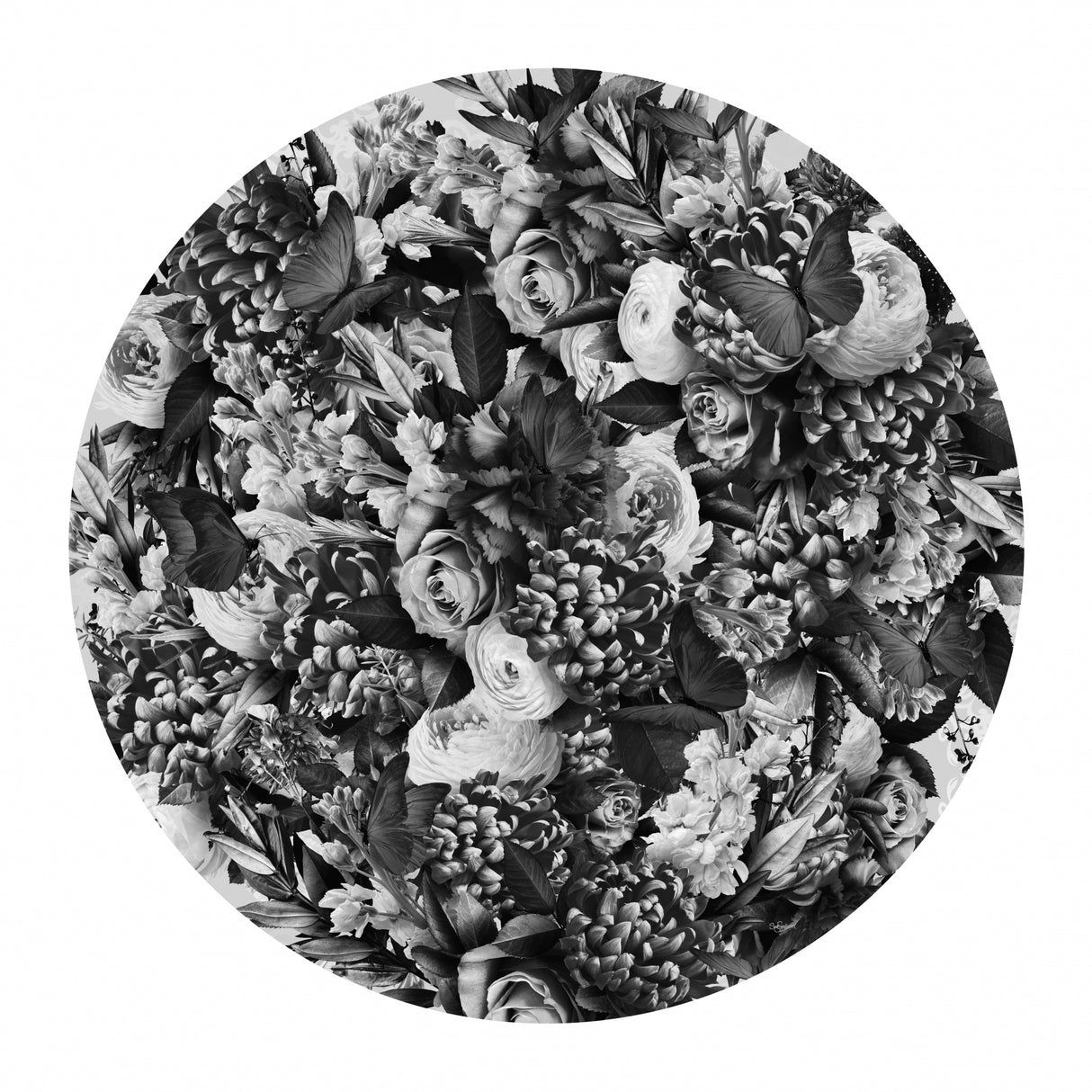 Journey Blooms Black &amp; White Poster och Canvastavla