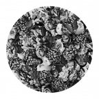 Journey Blooms Black &amp; White Poster och Canvastavla