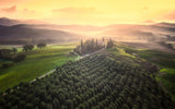 Tuscany Morning Poster och Canvastavla