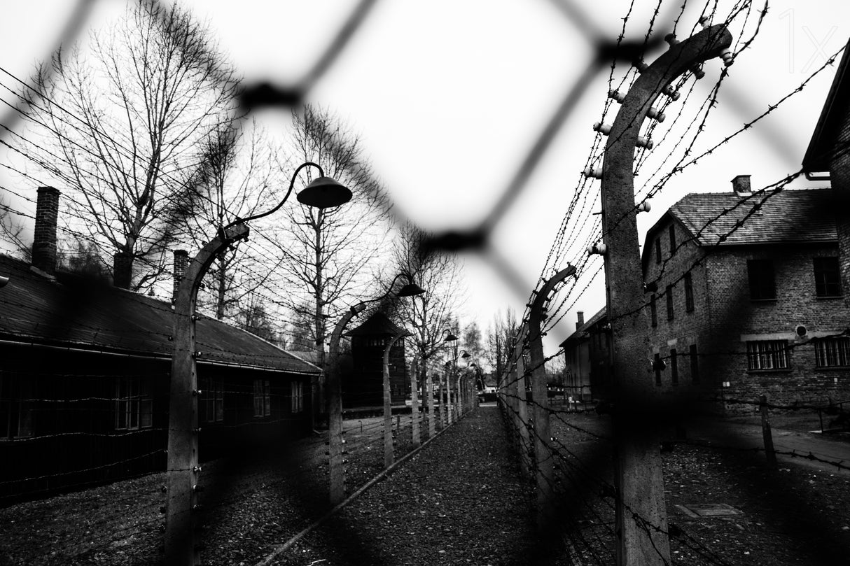 Behind the fences - Auschwitz I Poster och Canvastavla