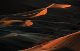 desert presence Poster och Canvastavla